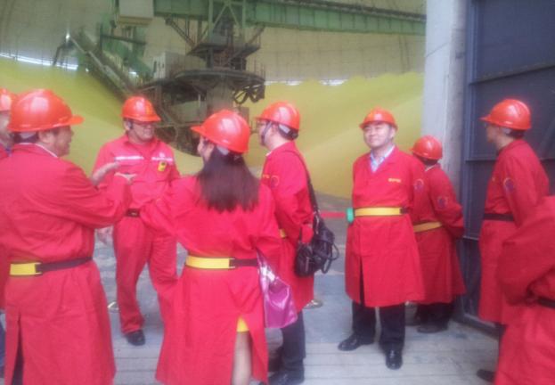 (杨清院长一行参观硫磺生产车间)